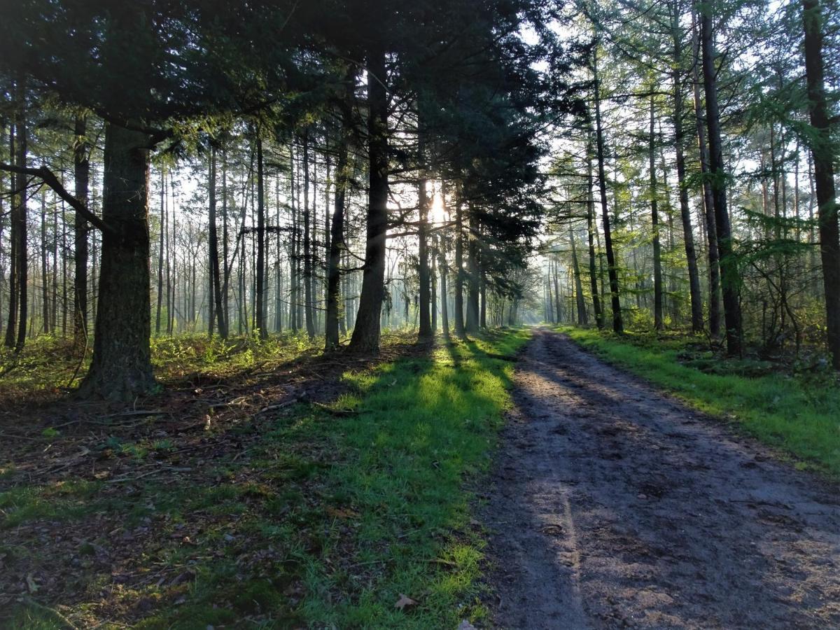 Veluwe Park Reewold Chalet Vision พุทเทิน ภายนอก รูปภาพ