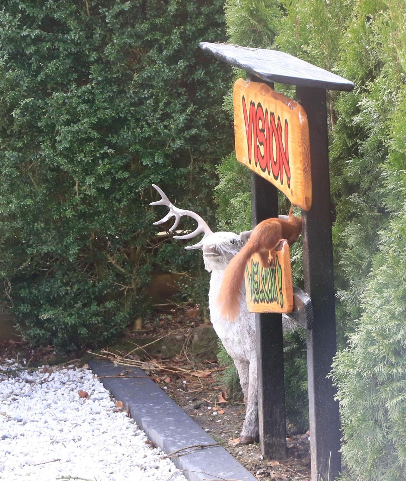 Veluwe Park Reewold Chalet Vision พุทเทิน ภายนอก รูปภาพ